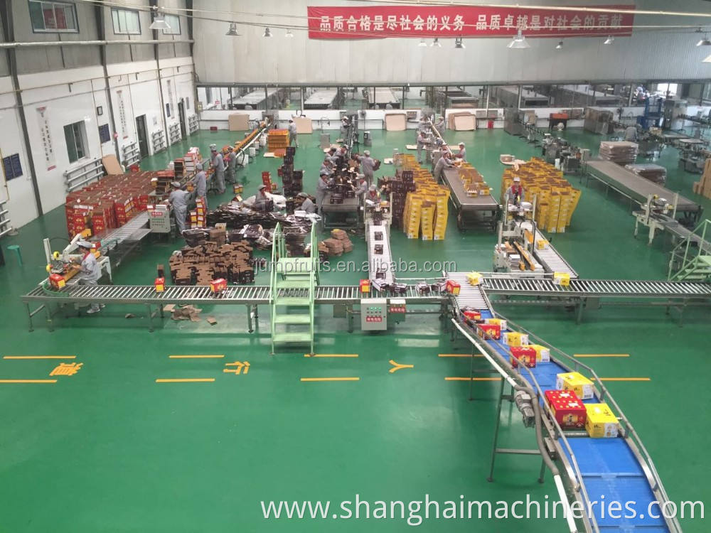 Manufacturing widely used automatic mushroom sauce production line
